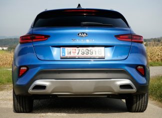 Die grüne Familie wächst weiter