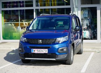 Mein Partner mit der kalten Schnauze