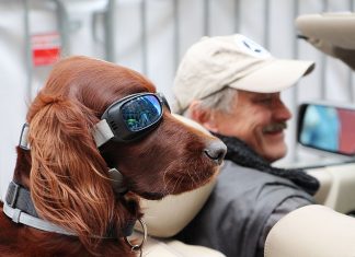 Vienna Classic Days am 21. und 22. August 2021