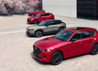 Aktionswochen beim Mazda Sakura Festival