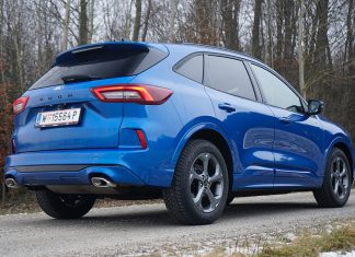 Evolution statt Revolution