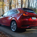 Eleganz in Großformat