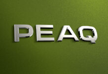 Škoda Peaq wird das neue vollelektrische 7sitzige Flaggschiff