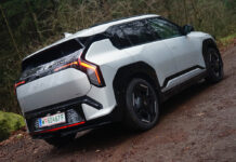 Kleiner Bruder mit großer Attitüde